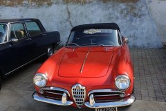 svalentino_2019_27